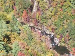 Fall Foliage 2009 037