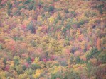 Fall Foliage 2009 065