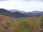 Fall Foliage 2009 075