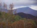 Fall Foliage 2009 076