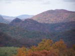 Fall Foliage 2009 077