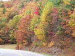 Fall Foliage 2009 083