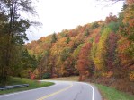 Fall Foliage 2009 085
