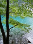 Croatia September 18 thru 26 2009 223