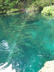 Croatia September 18 thru 26 2009 254