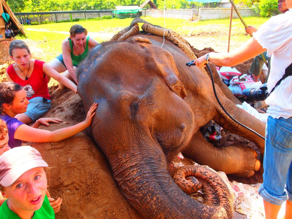 Elephant Nature Park