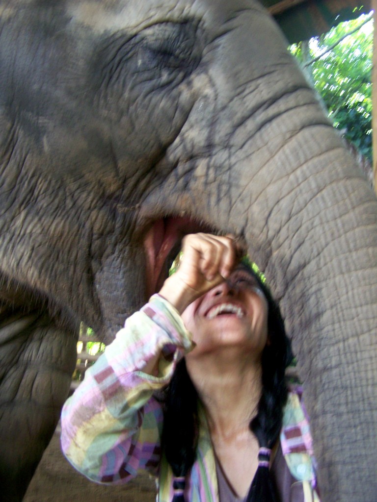 Elephant Nature Park lek8 Que Sera Sera