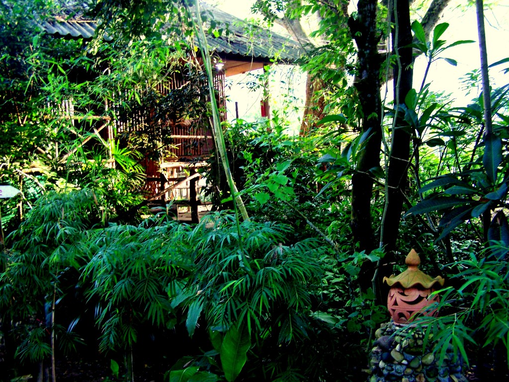 Elephant Nature Park