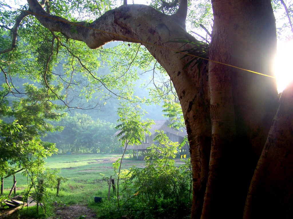 Elephant Nature Park