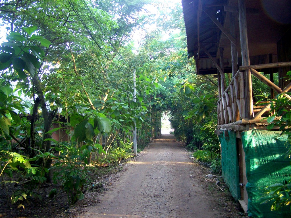 Elephant Nature Park