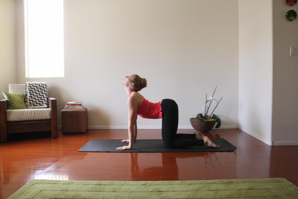 Cow Pose