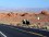 Valley of Fire
