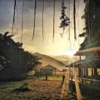 D Travels Round Elephant Nature Park